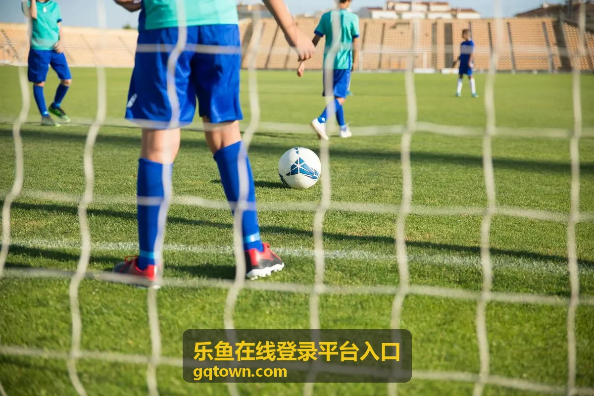 乐鱼在线登录平台入口运行状态报告封面
